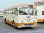 AEC Reliance 2MU3RV Roe 1960 года